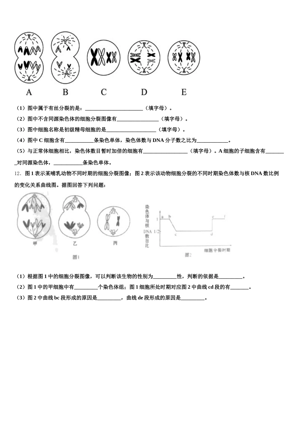 北京市八一学校2025届生物高一第二学期期末调研模拟试题含解析_第3页