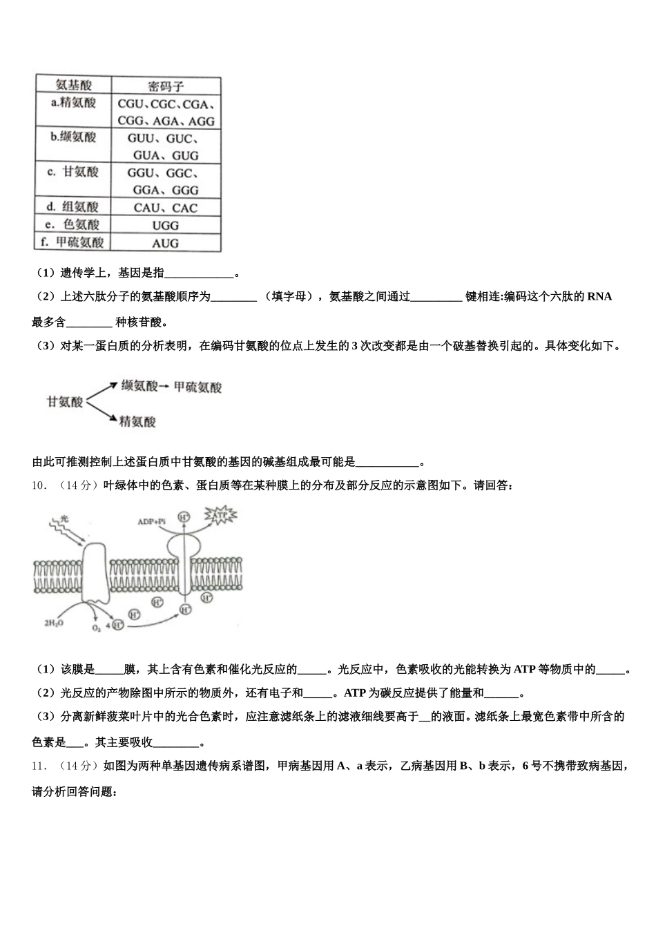 北京市西城13中学2024-2025学年高一生物第二学期期末复习检测试题含解析_第3页