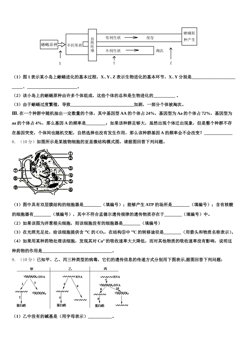 2024-2025学年北京市西城区西城外国语学校高一生物第二学期期末检测模拟试题含解析_第3页