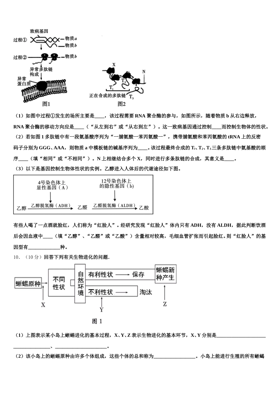 2024-2025学年北京交大附中生物高一下期末统考试题含解析_第3页