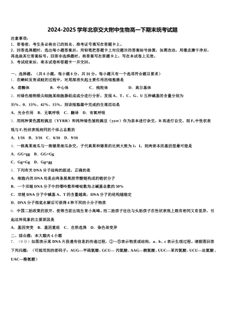 2024-2025学年北京交大附中生物高一下期末统考试题含解析