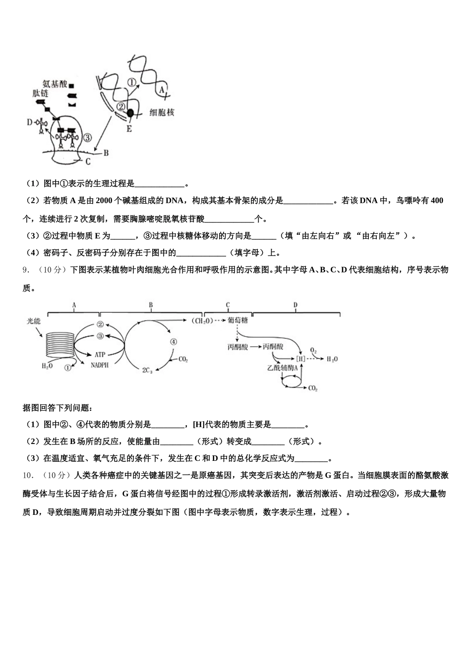 北京市西城区第三十一中学2025年生物高一下期末质量跟踪监视试题含解析_第3页