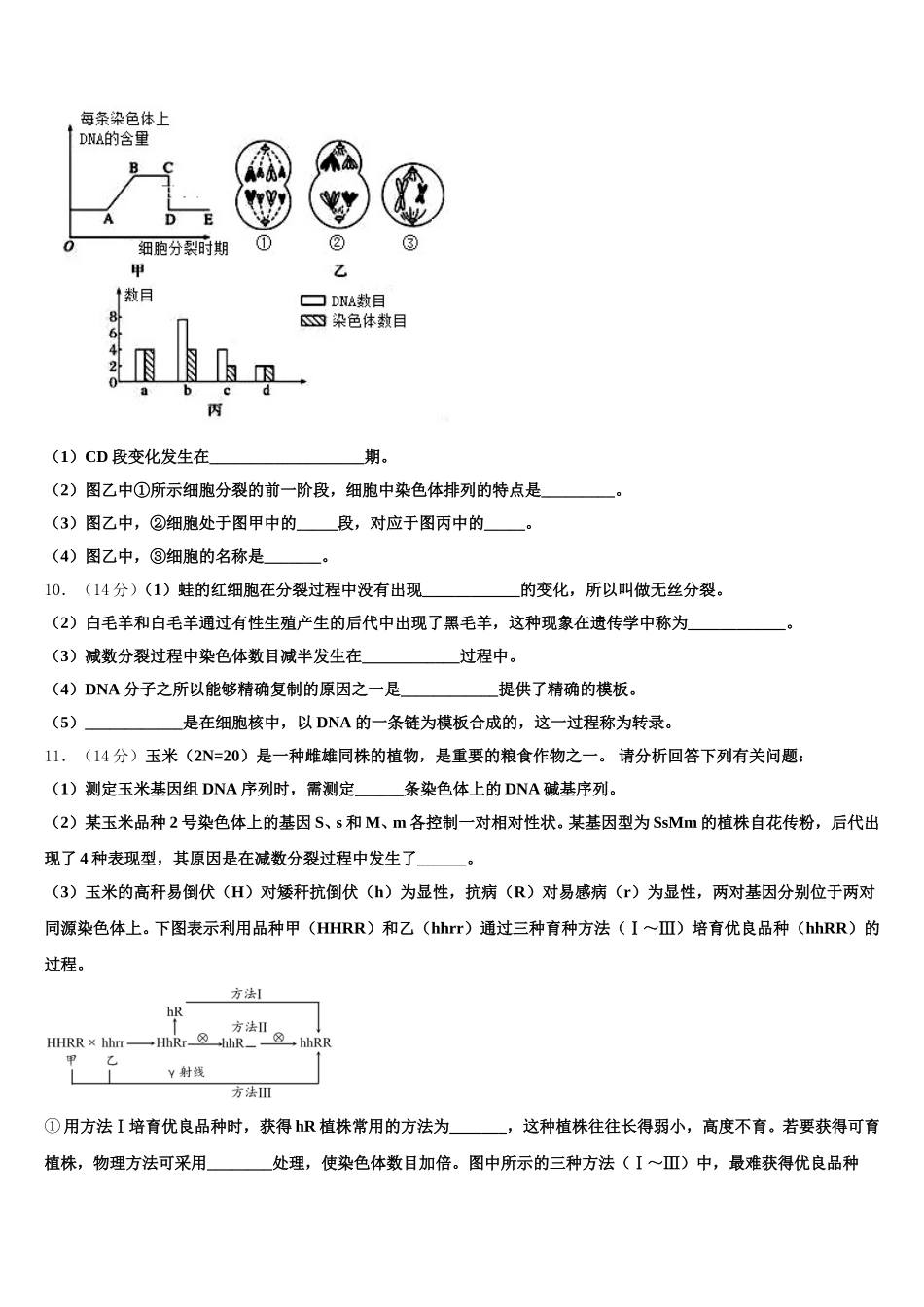 2025届北京市育英中学生物高一下期末监测试题含解析_第3页