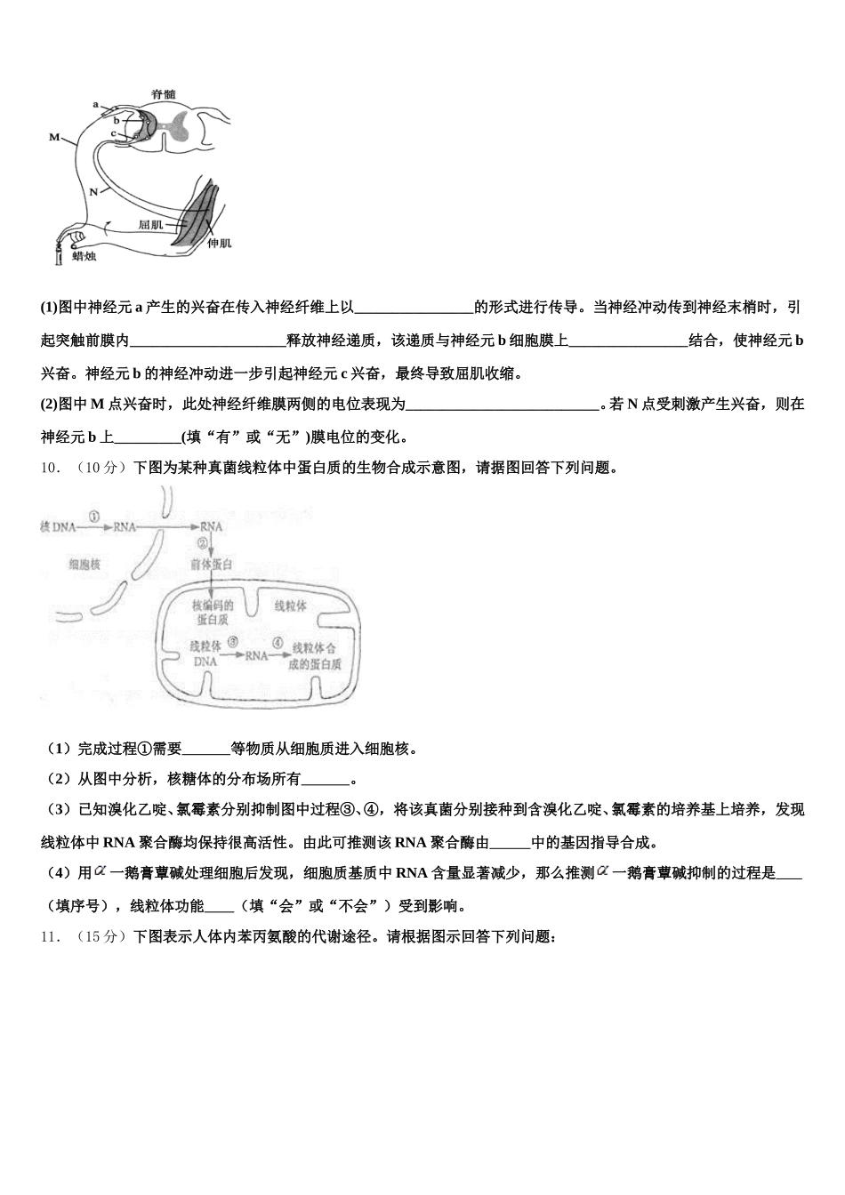 北京市西城区第十五中学2024-2025学年生物高一下期末检测模拟试题含解析_第3页