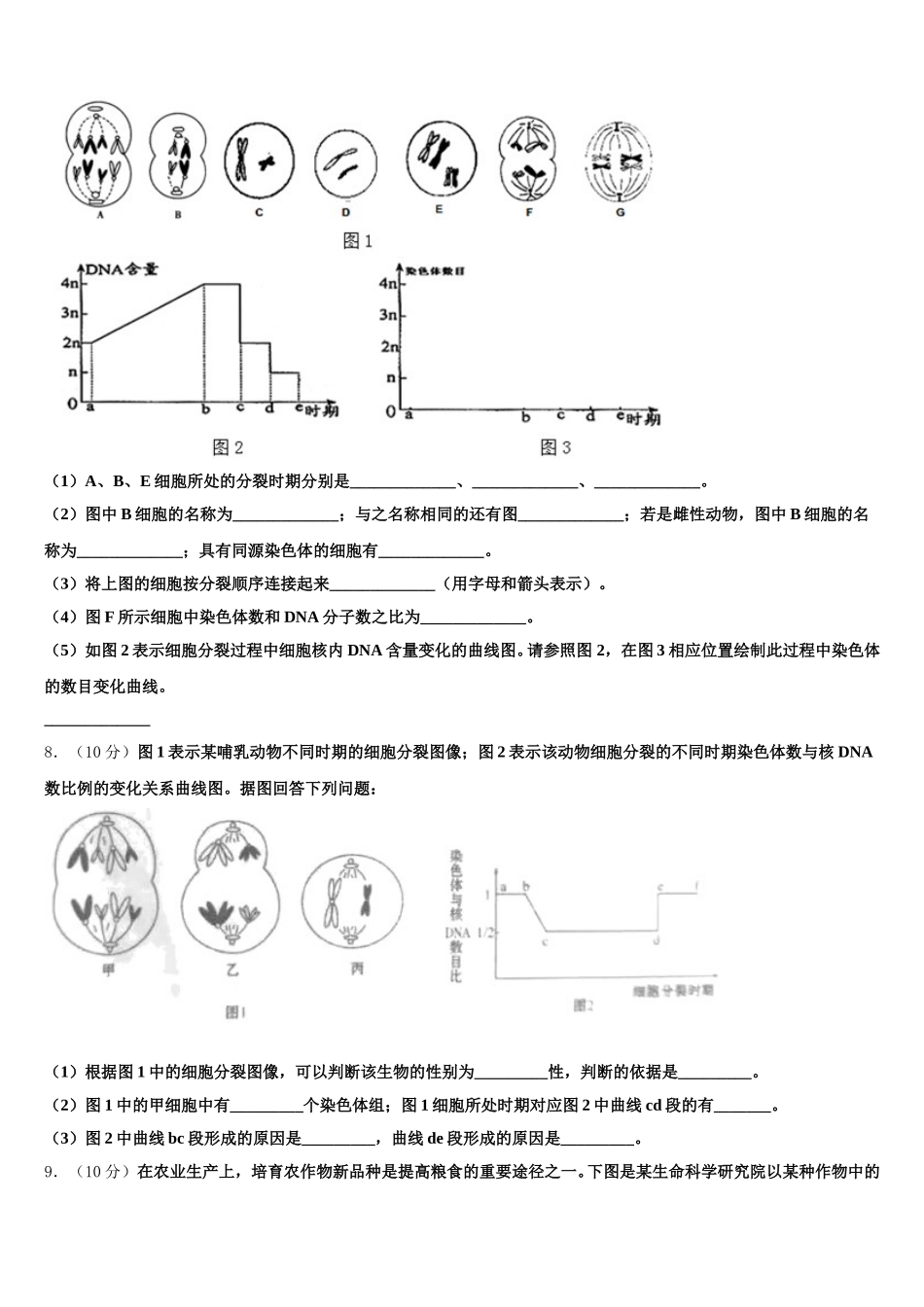 2025届北京市朝阳区北京八十中学生物高一下期末统考试题含解析_第3页