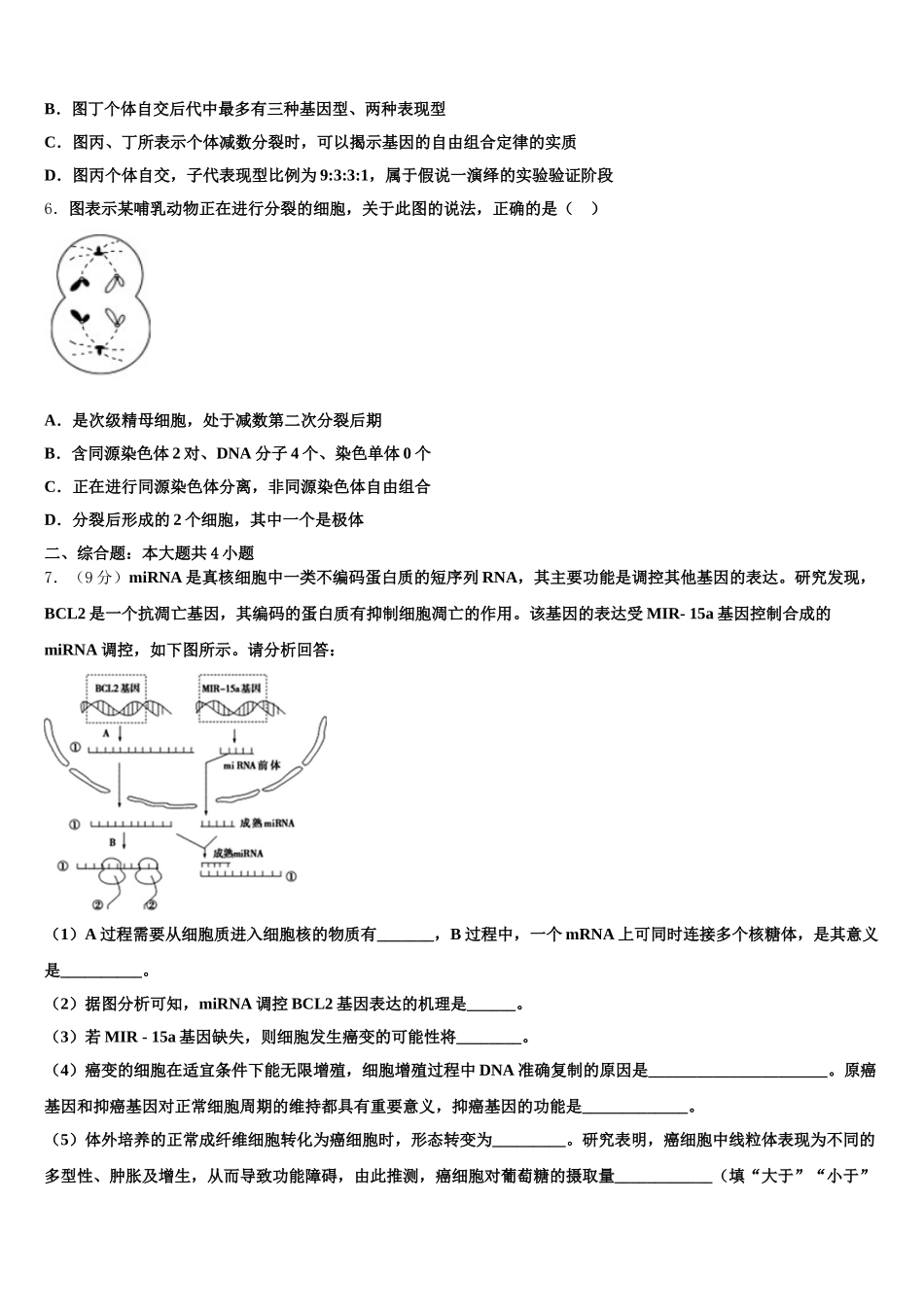 北京市西城区第四十四中学2025届高一生物第二学期期末综合测试模拟试题含解析_第2页