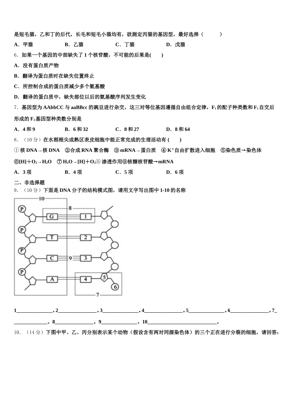 2024-2025学年北京东城区北京汇文中学生物高一下期末统考模拟试题含解析_第2页