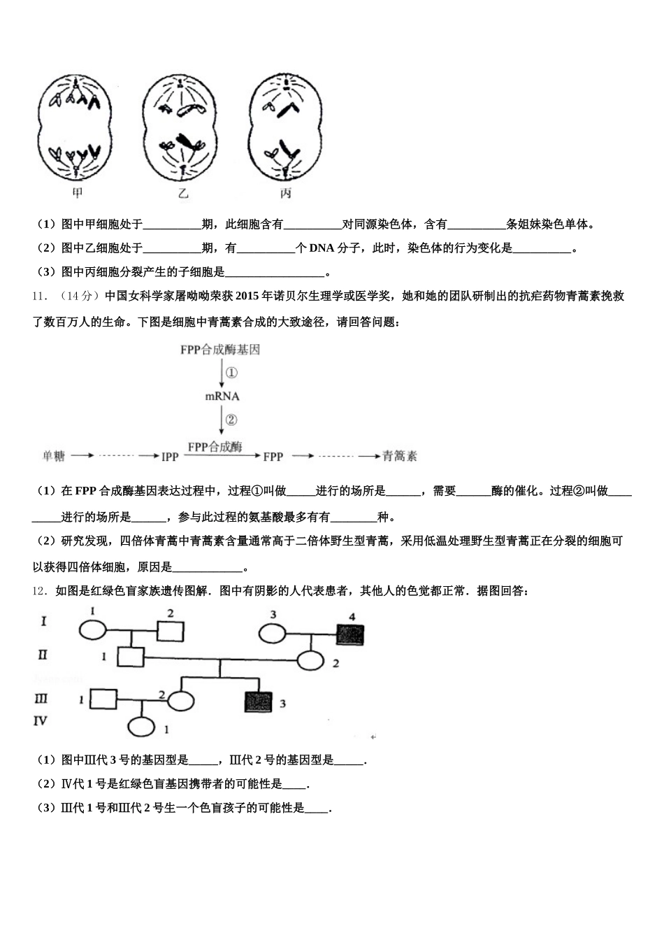 2024-2025学年北京东城区北京汇文中学生物高一下期末统考模拟试题含解析_第3页