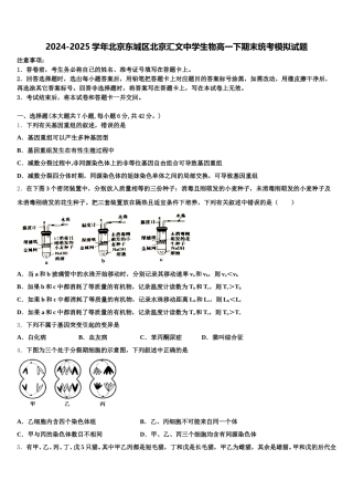 2024-2025学年北京东城区北京汇文中学生物高一下期末统考模拟试题含解析