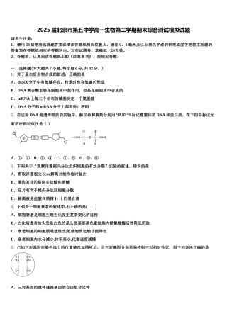2025届北京市第五中学高一生物第二学期期末综合测试模拟试题含解析