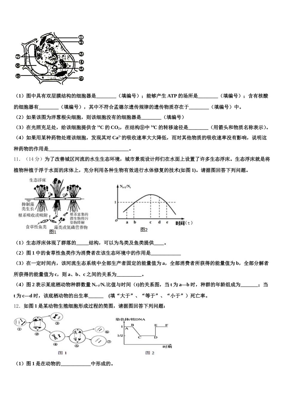 北京市顺义牛栏山第一中学2025年高一下生物期末达标检测试题含解析_第3页