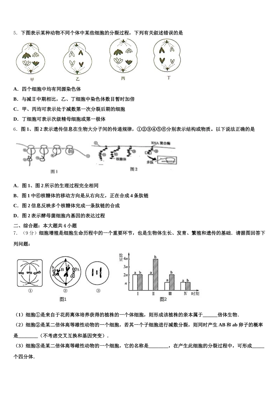 2024-2025学年北京海淀外国语实验生物高一下期末考试试题含解析_第2页