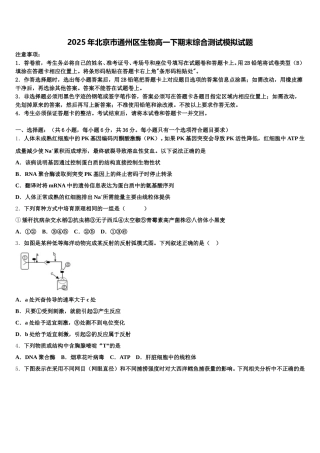 2025年北京巿通州区生物高一下期末综合测试模拟试题含解析