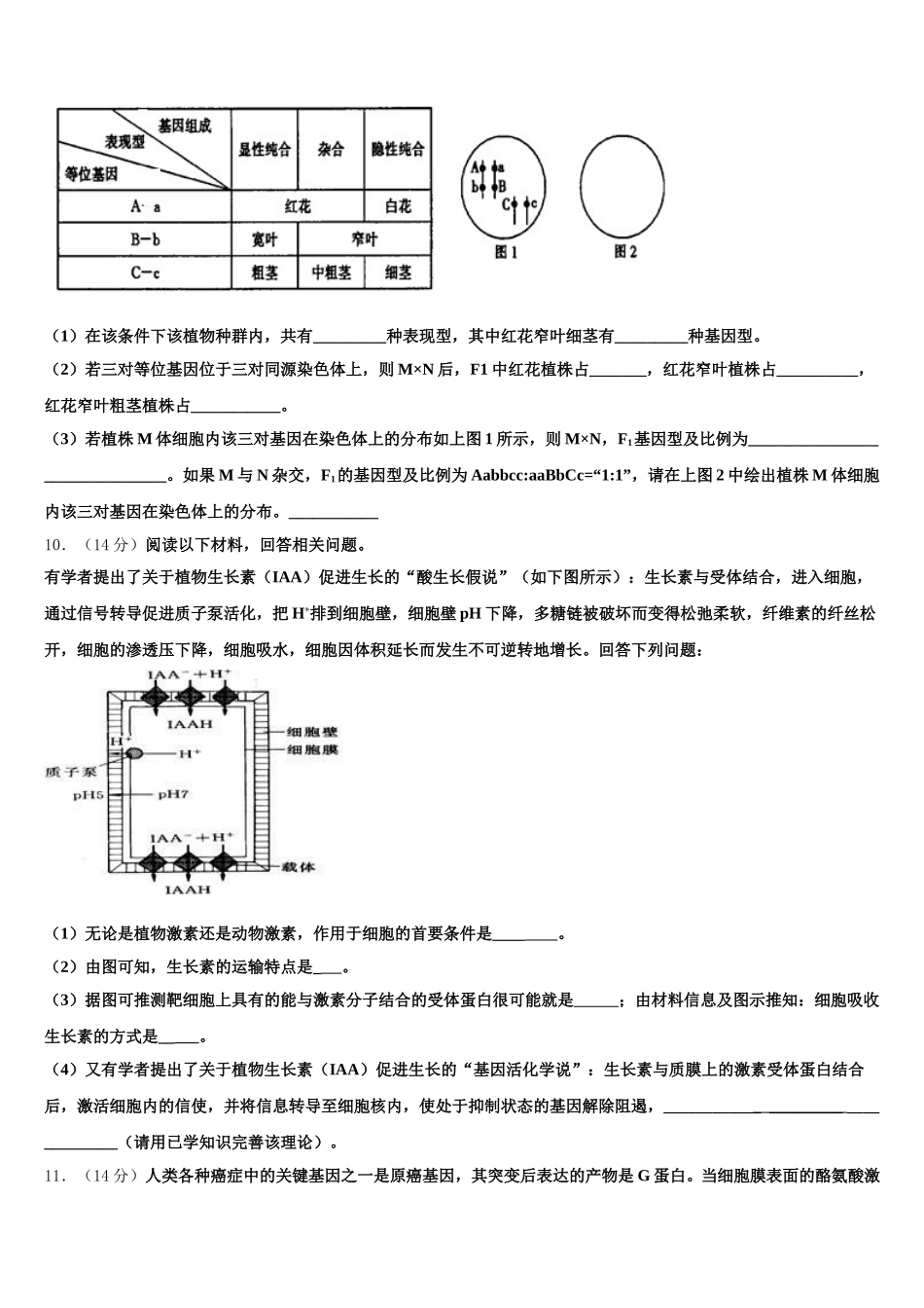2025届北京市牛山一中生物高一下期末学业质量监测试题含解析_第3页