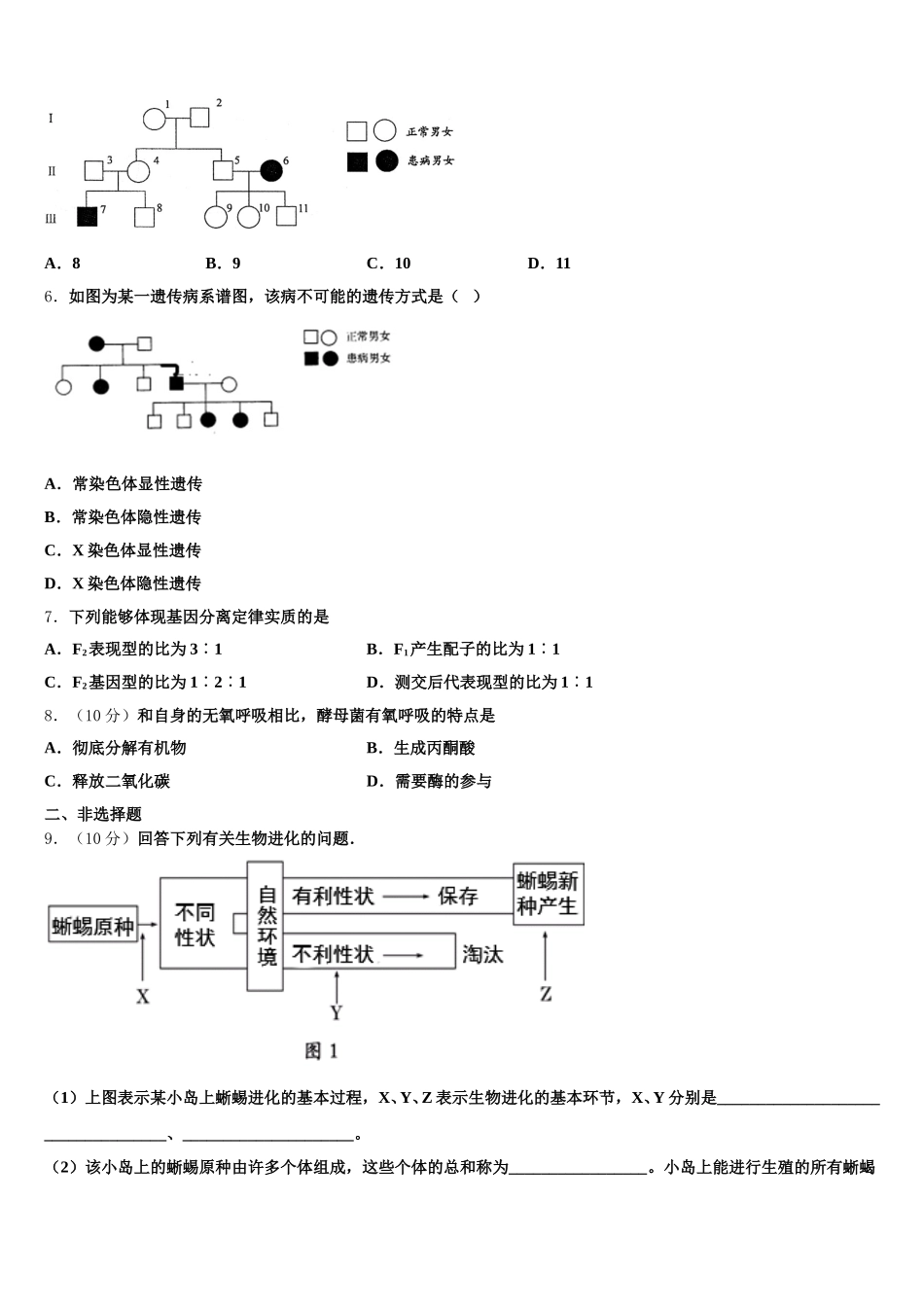 2025届北京市第十二中学高一下生物期末质量跟踪监视试题含解析_第2页