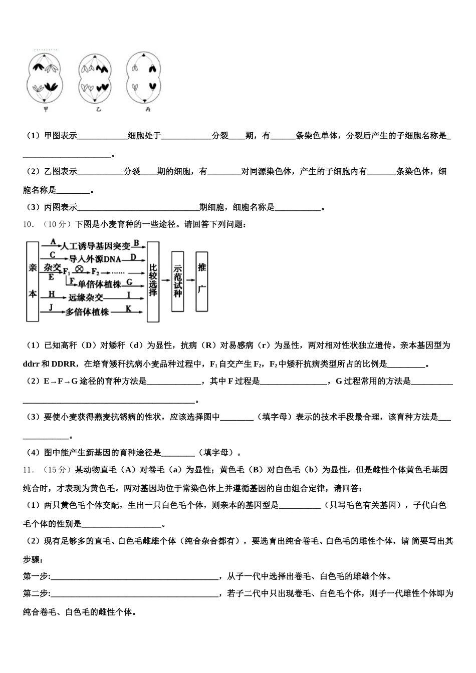 2025年北京海淀北理工附中生物高一下期末复习检测试题含解析_第3页