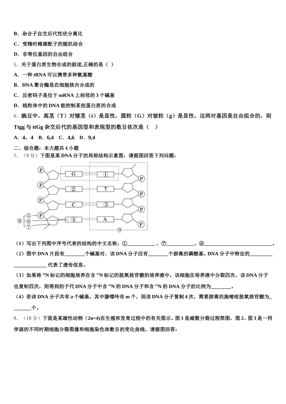 2025届北京市东城区第十一中学高一下生物期末教学质量检测试题含解析_第2页