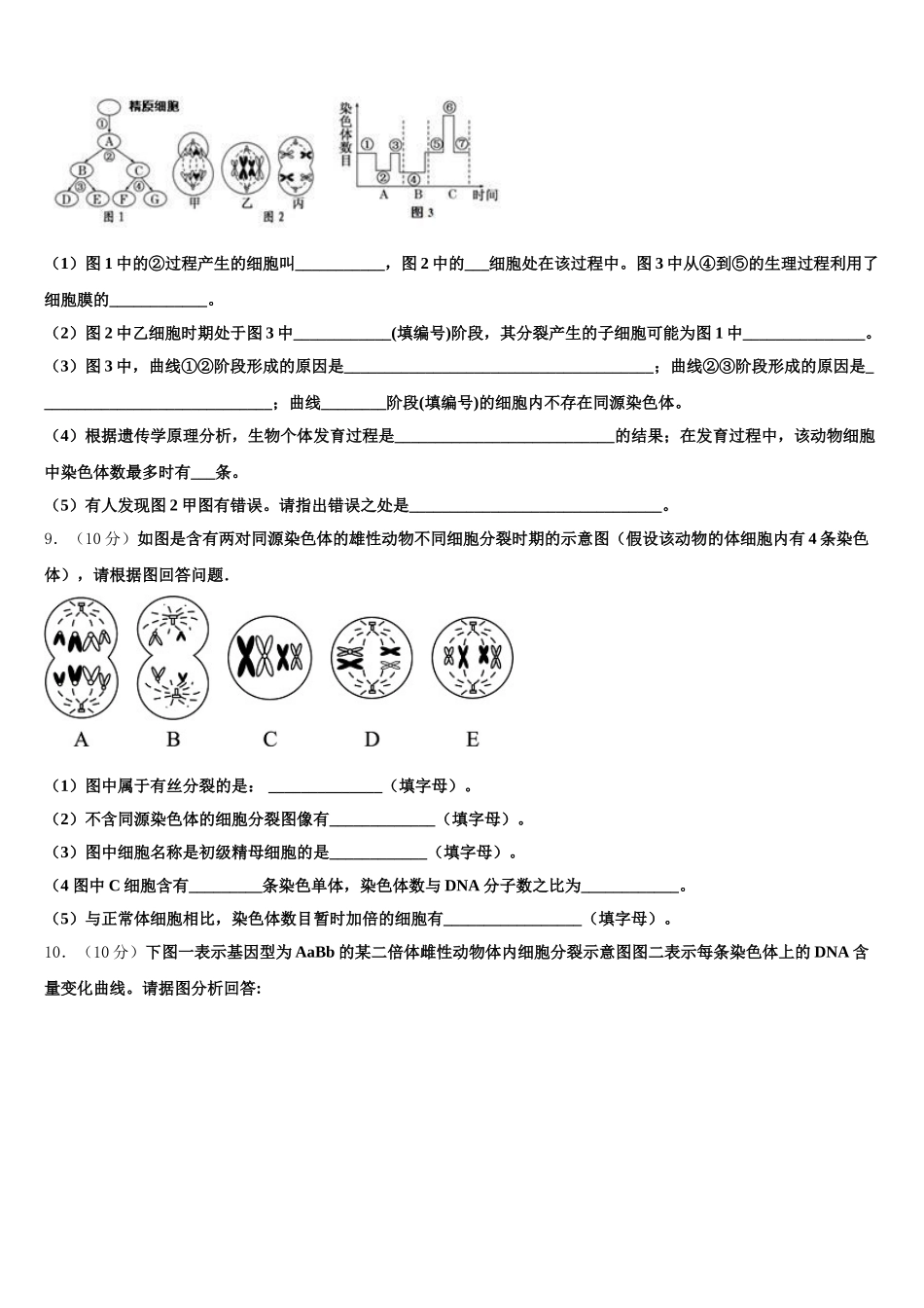 2025届北京市东城区第十一中学高一下生物期末教学质量检测试题含解析_第3页
