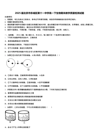 2025届北京市东城区第十一中学高一下生物期末教学质量检测试题含解析