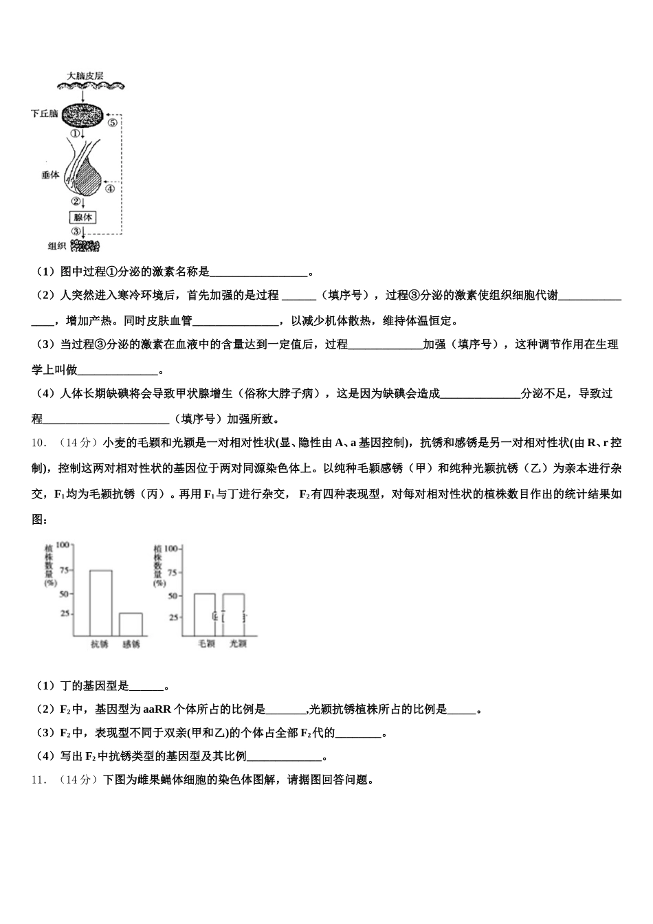 2025年北京理工大附中高一生物第二学期期末复习检测试题含解析_第3页