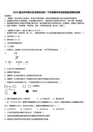 2025届北京市顺义区市级名校高一下生物期末学业质量监测模拟试题含解析