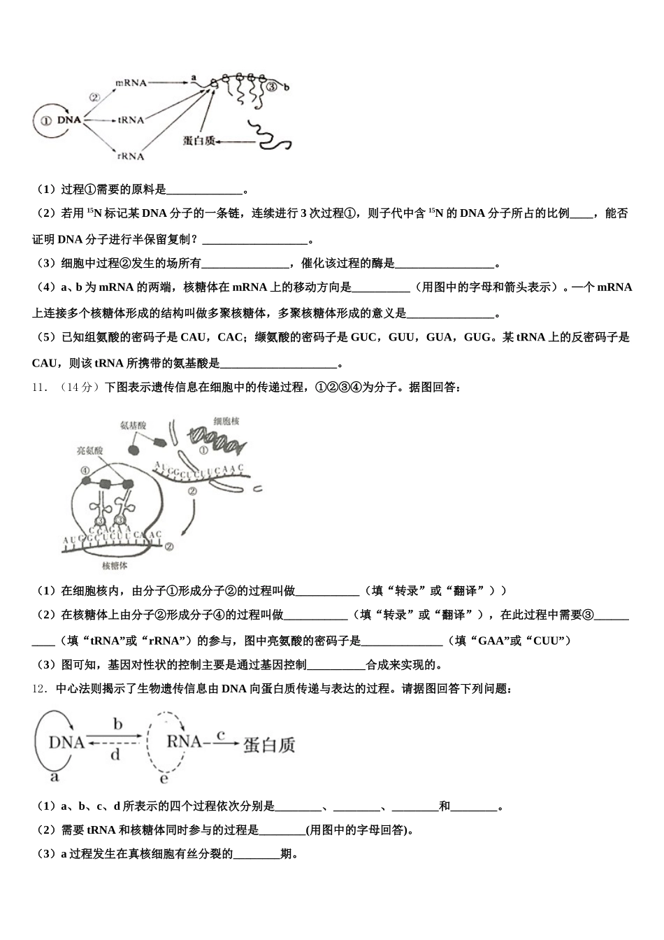 北京海淀科大附中2025年生物高一下期末质量检测试题含解析_第3页