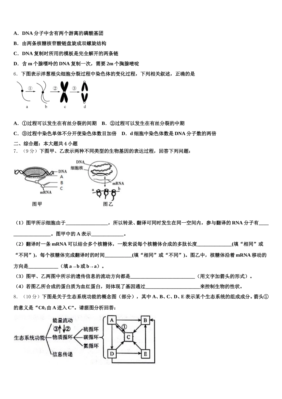 2025年北京丰台区北京第十二中学生物高一下期末教学质量检测模拟试题含解析_第2页