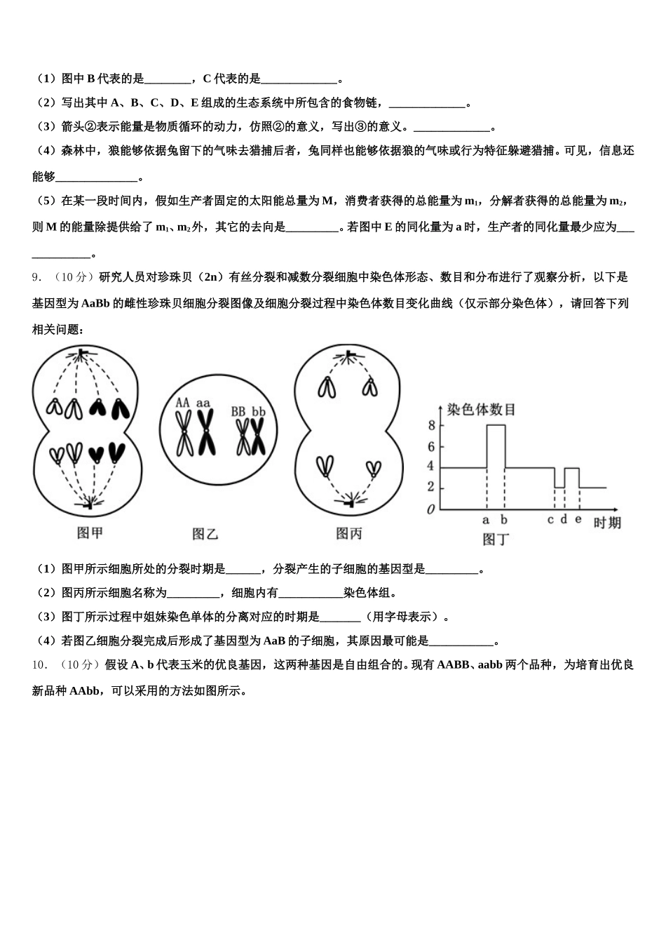 2025年北京丰台区北京第十二中学生物高一下期末教学质量检测模拟试题含解析_第3页