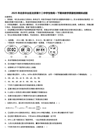 2025年北京丰台区北京第十二中学生物高一下期末教学质量检测模拟试题含解析