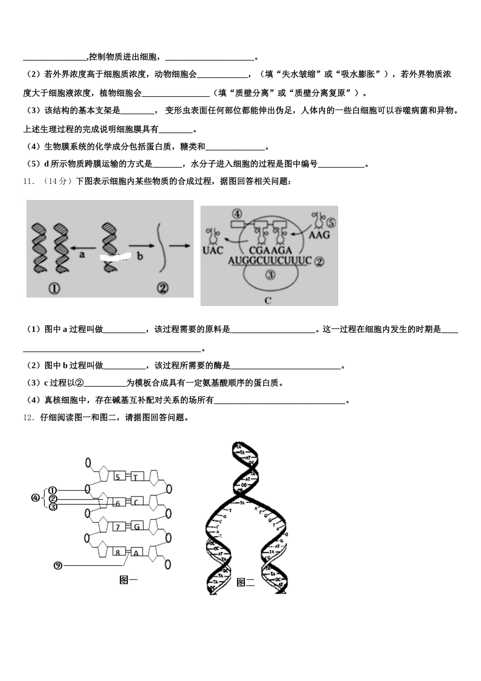 北京市第十五中学2024-2025学年高一下生物期末预测试题含解析_第3页