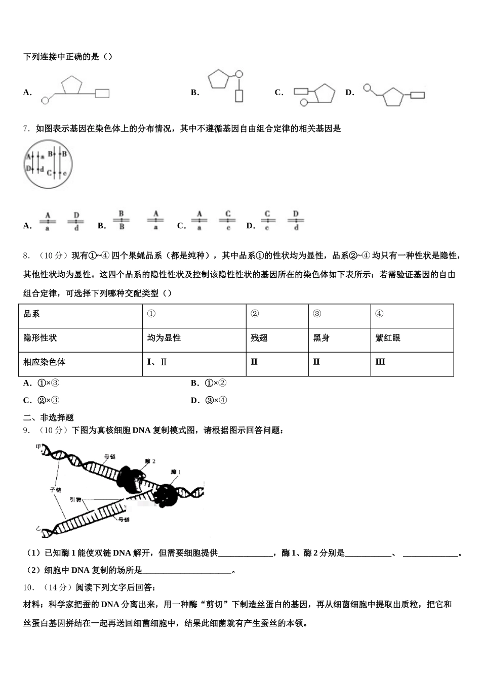 2025年北京市北京四中生物高一下期末教学质量检测试题含解析_第2页