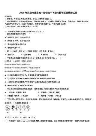 2025年北京市北京四中生物高一下期末教学质量检测试题含解析