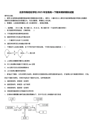 北京市陈经纶学校2025年生物高一下期末调研模拟试题含解析