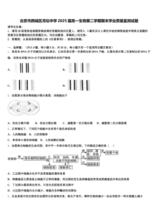 北京市西城区月坛中学2025届高一生物第二学期期末学业质量监测试题含解析