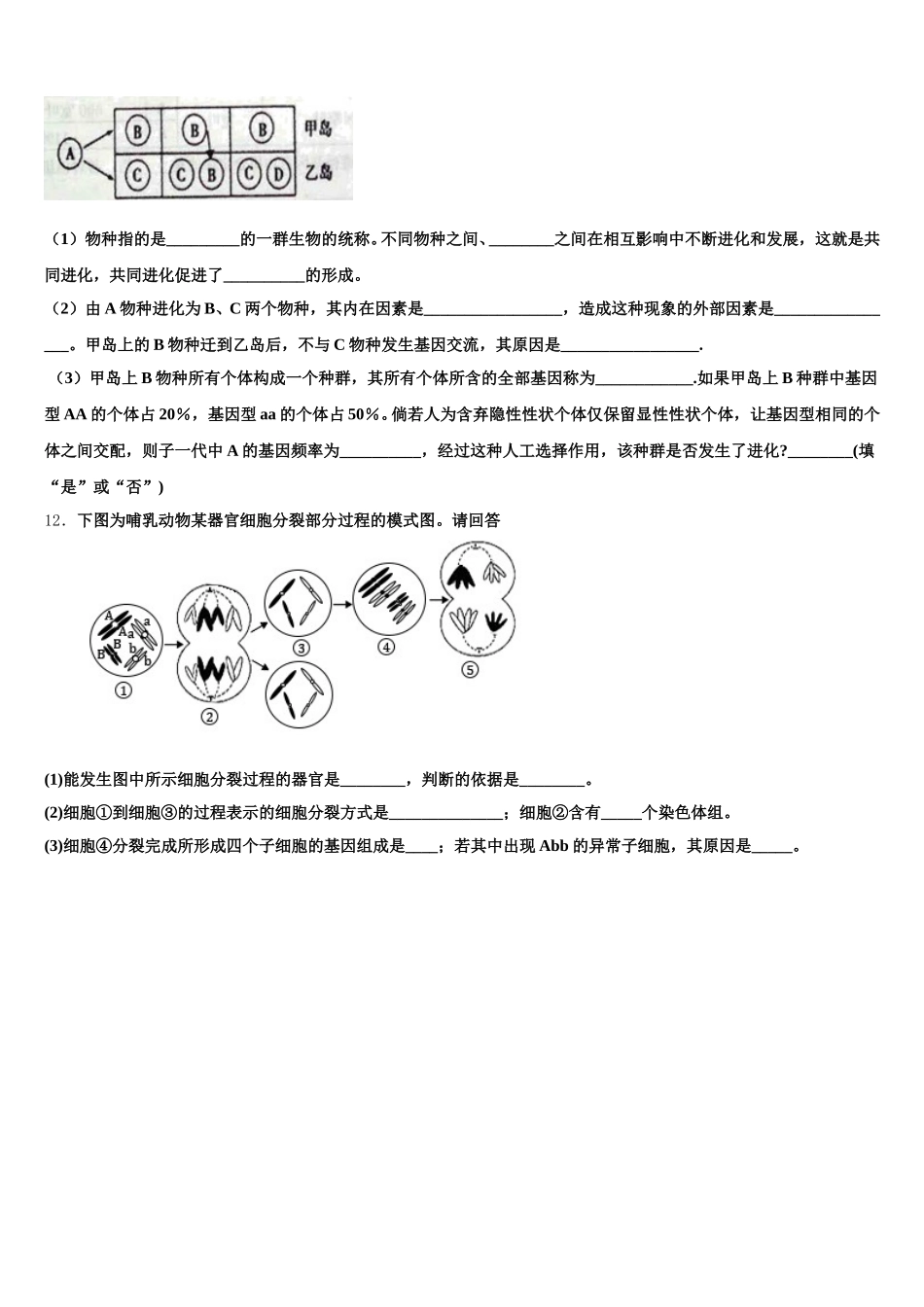2025届北京师大第二附中生物高一下期末联考试题含解析_第3页