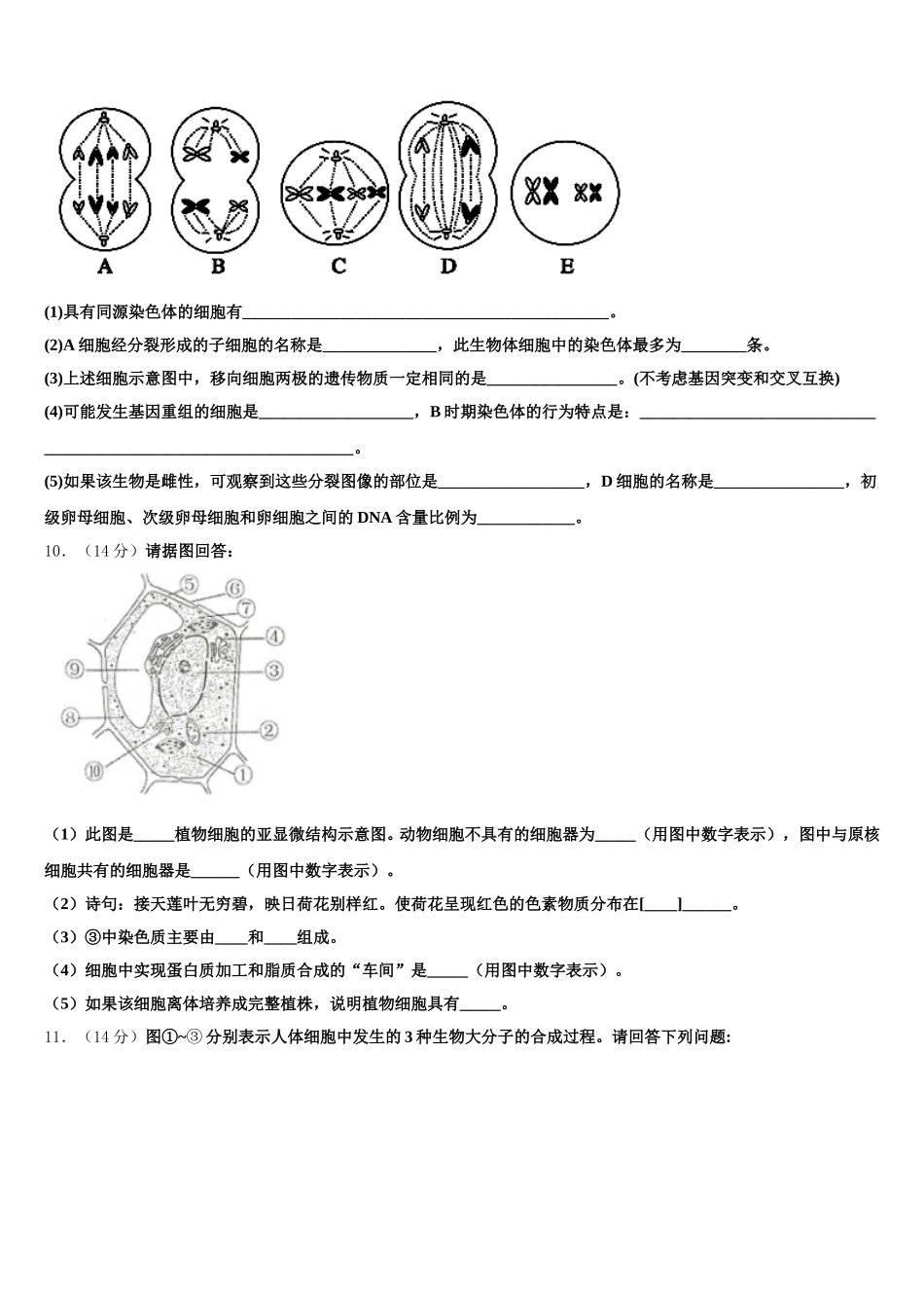 2025年北京石景山北京市第九中学生物高一第二学期期末达标检测试题含解析_第3页