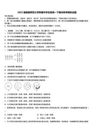2025届首都师范大学附属中学生物高一下期末联考模拟试题含解析