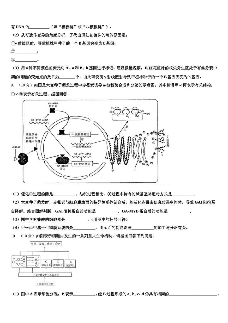 2024-2025学年北京市十一所学校高一生物第二学期期末学业水平测试试题含解析_第3页