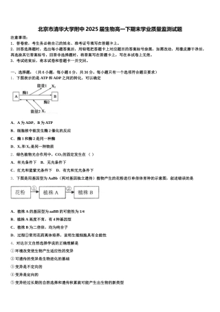 北京市清华大学附中2025届生物高一下期末学业质量监测试题含解析