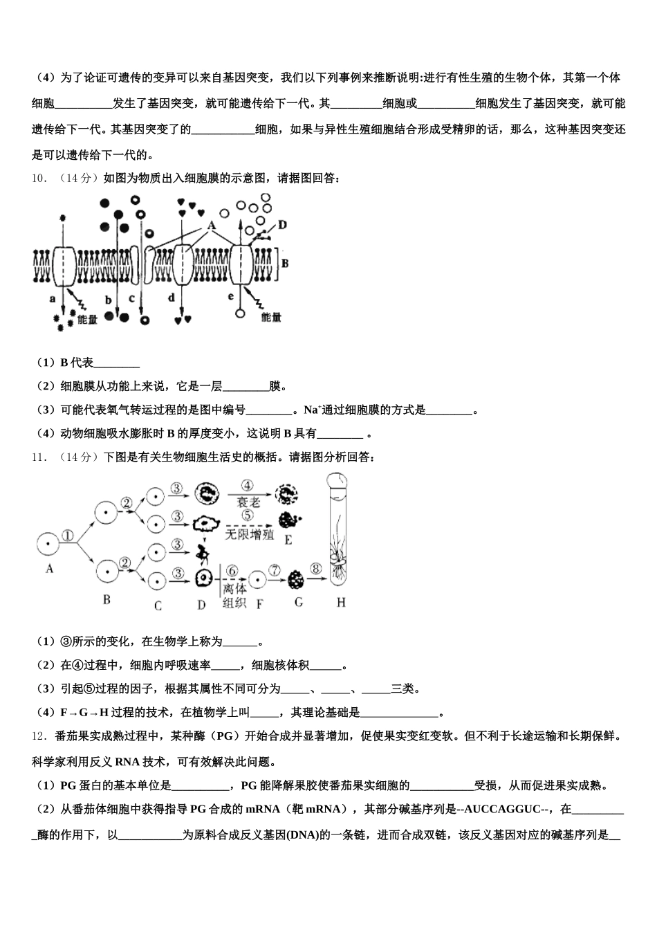 2024-2025学年北京市北京二中教育集团生物高一第二学期期末考试模拟试题含解析_第3页