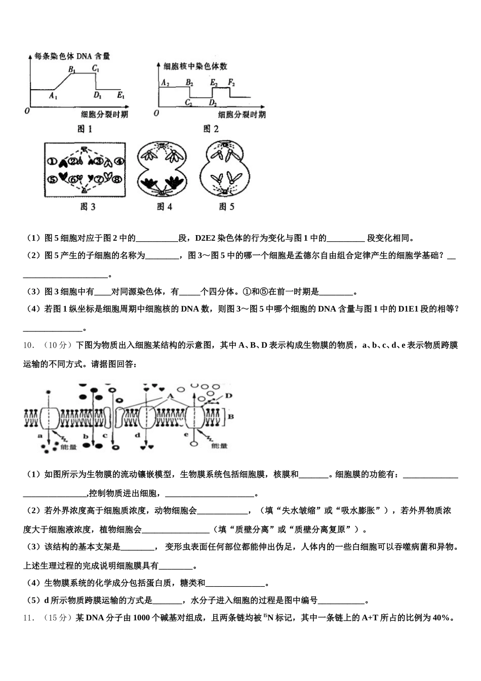 北京丰台区北京第十二中学2024-2025学年高一下生物期末达标检测模拟试题含解析_第3页