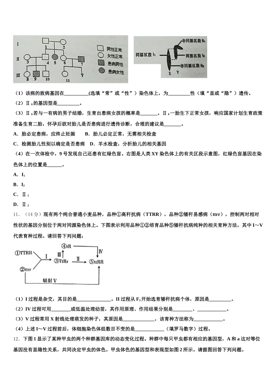 北京北大附中2025届生物高一第二学期期末质量检测模拟试题含解析_第3页