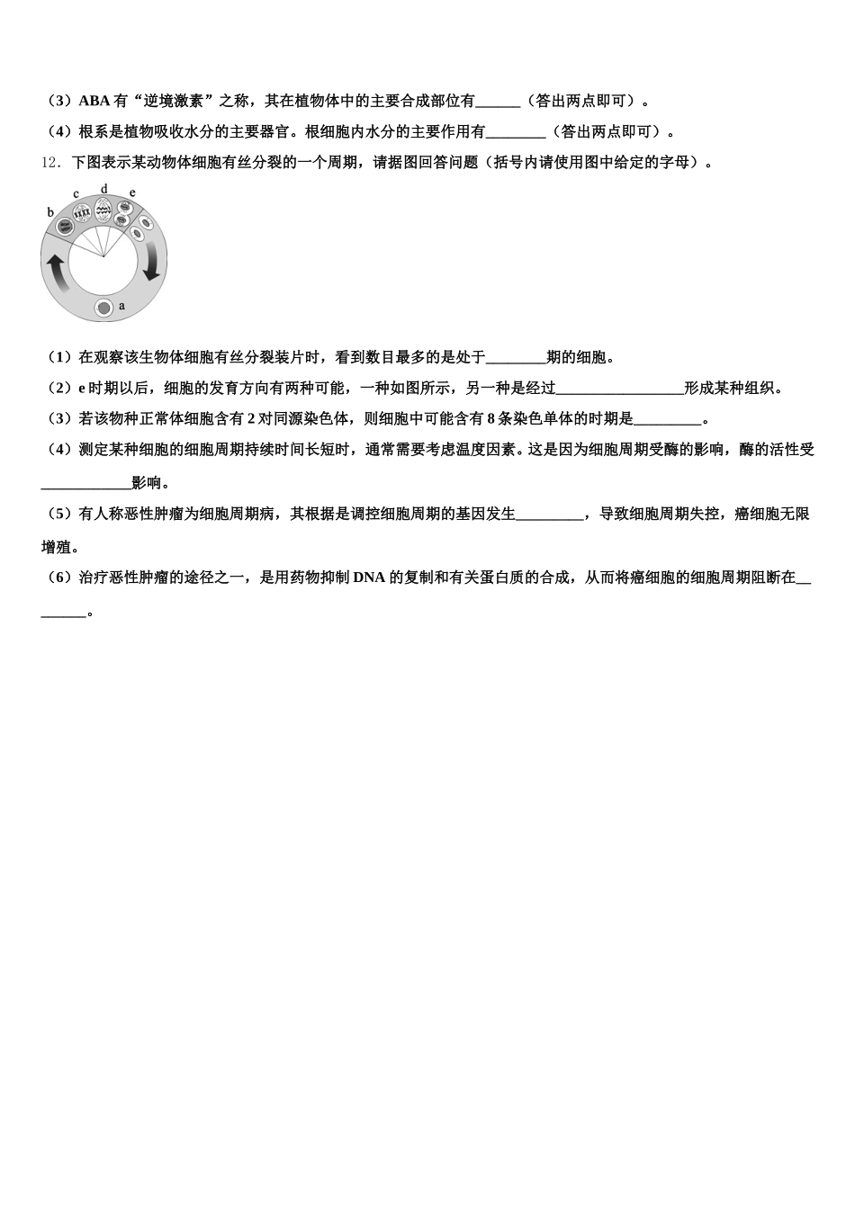 2025届北京市八十中高一下生物期末达标检测试题含解析_第3页
