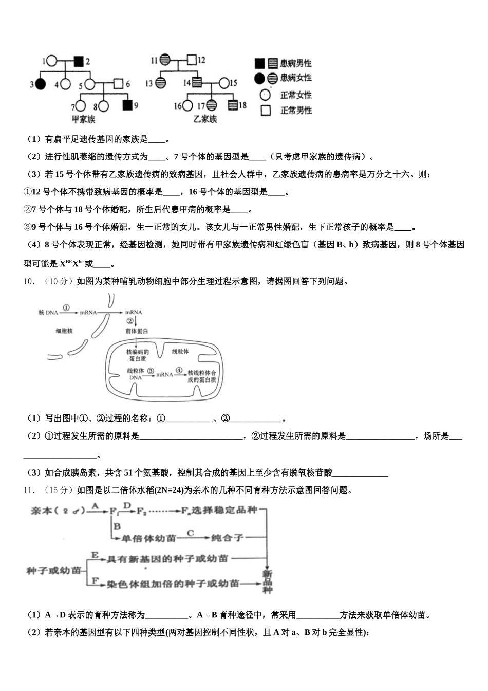 2024-2025学年北京市中央民大附中高一下生物期末监测模拟试题含解析_第3页