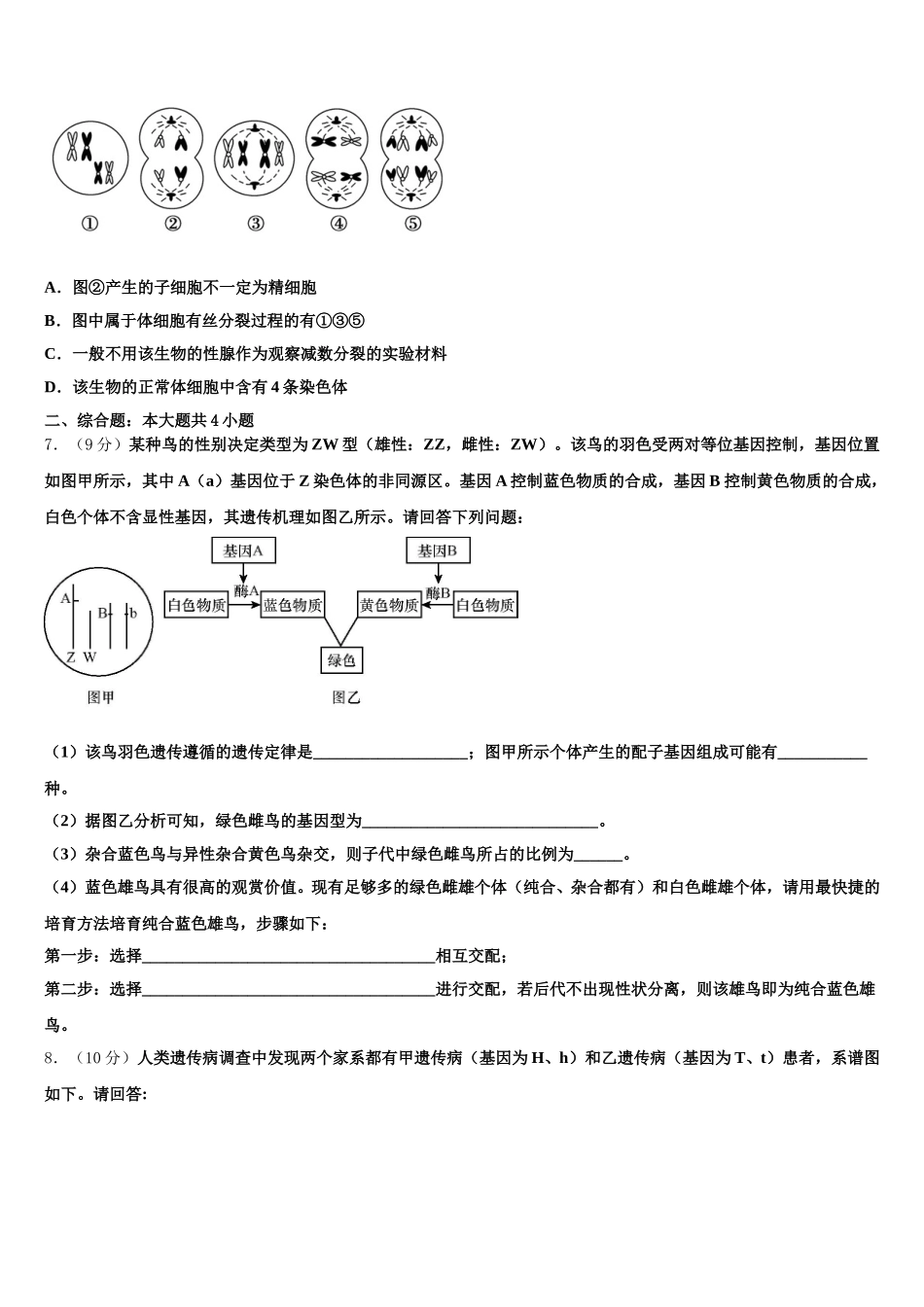 2025届北京东城北京二中高一生物第二学期期末达标检测模拟试题含解析_第2页