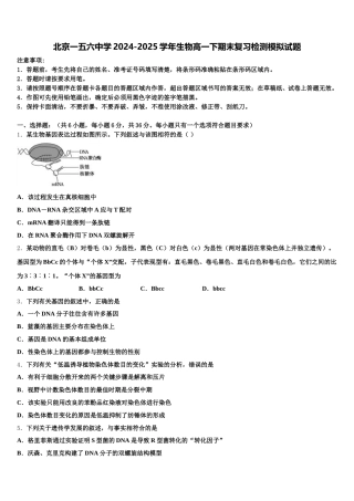 北京一五六中学2024-2025学年生物高一下期末复习检测模拟试题含解析
