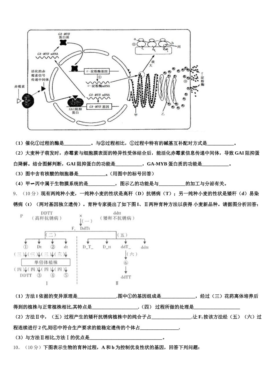 北师大附中2025年高一下生物期末达标检测试题含解析_第3页