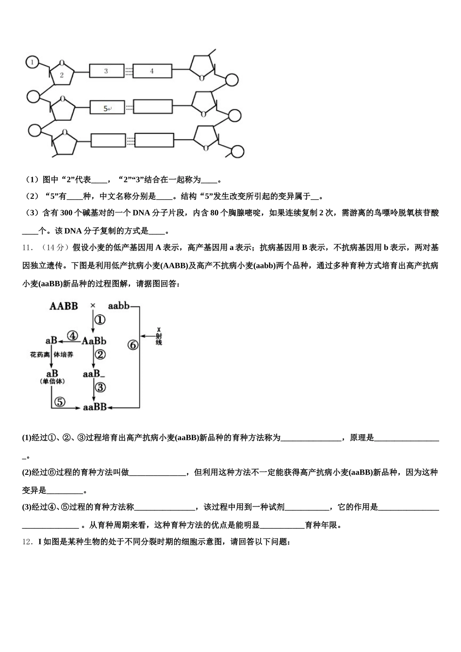 北京市北京一零一中学2025届高一生物第二学期期末学业水平测试模拟试题含解析_第3页
