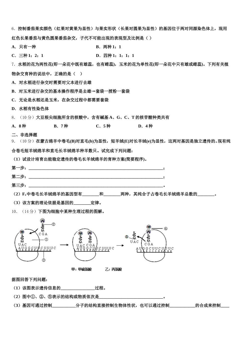 2025届北京市10区生物高一下期末考试试题含解析_第2页