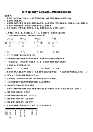 2025届北京第五中学生物高一下期末统考模拟试题含解析